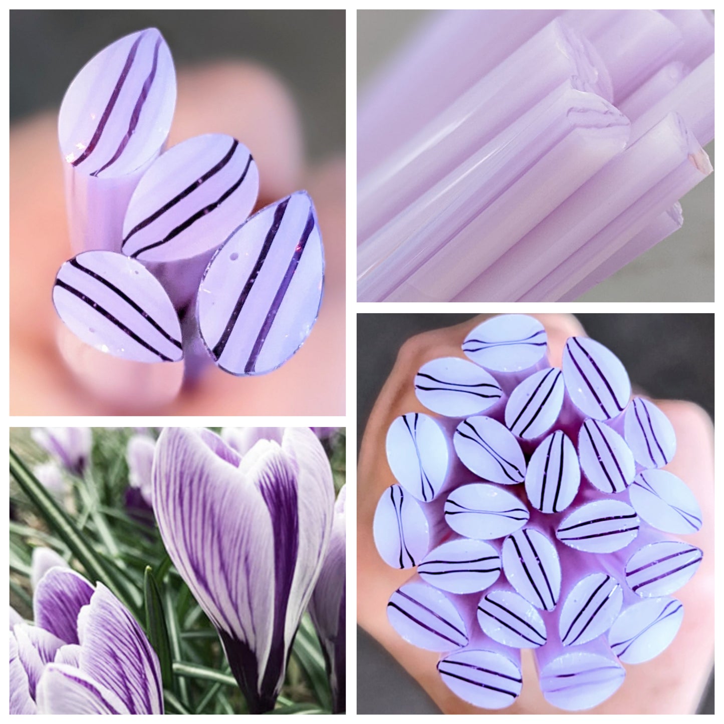 Large Lavender White Crocus COE 90