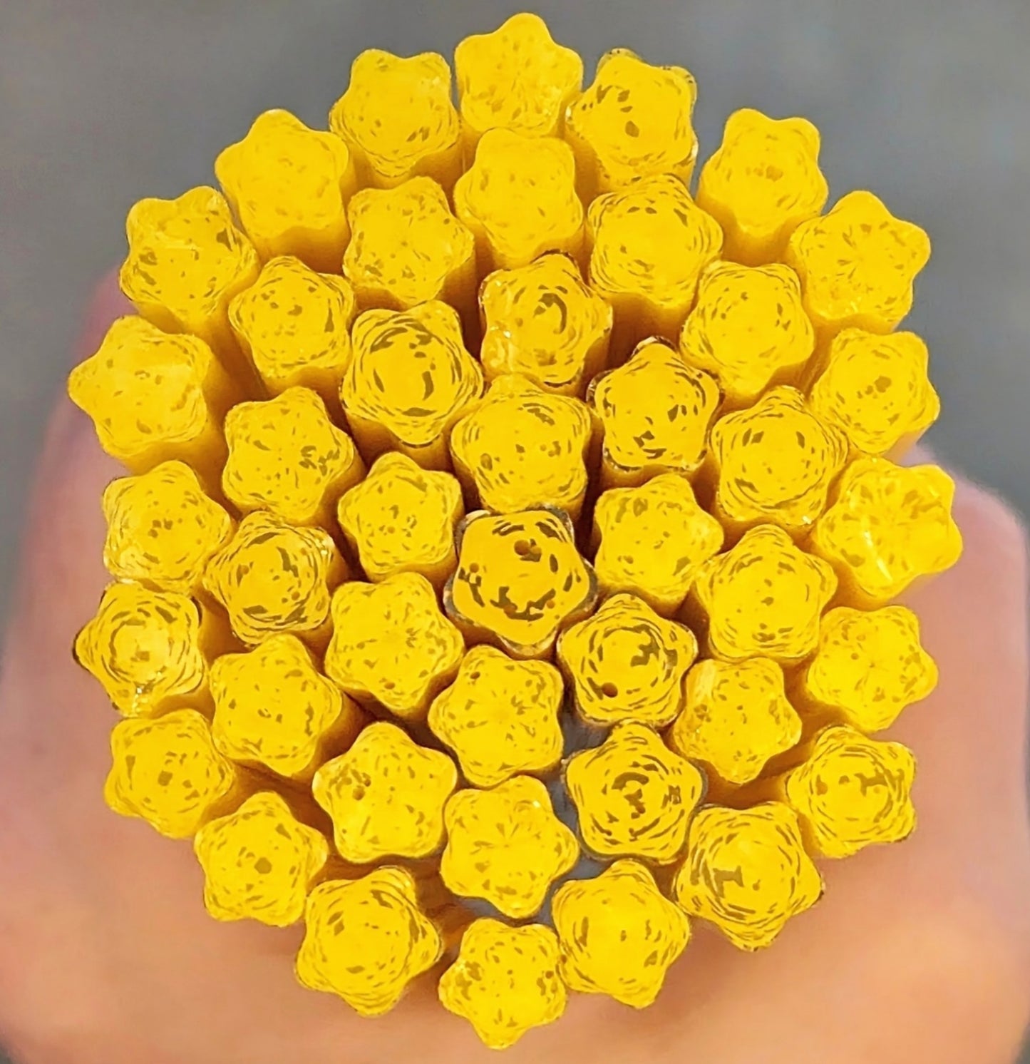 Yellow Perennial COE 96