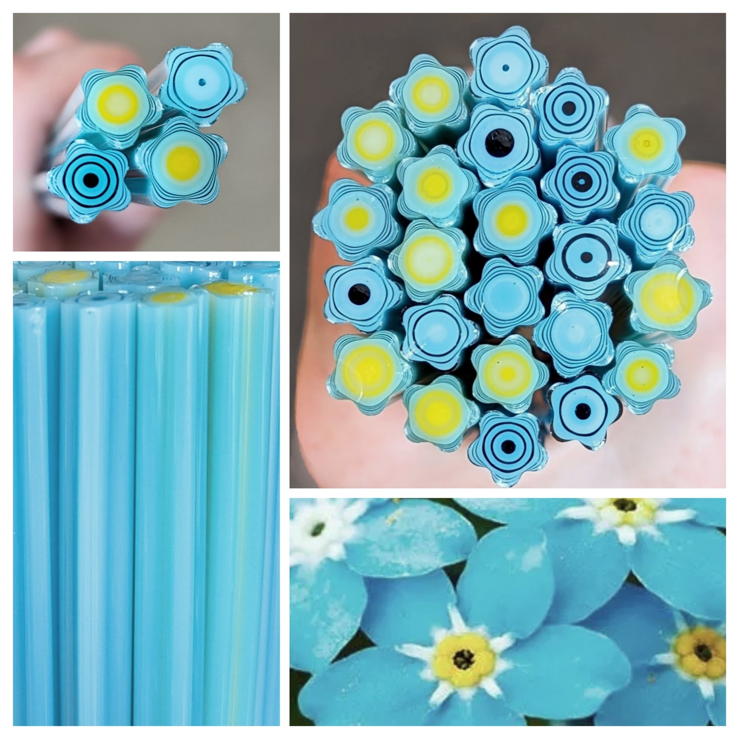Large Forget Me Nots COE 90