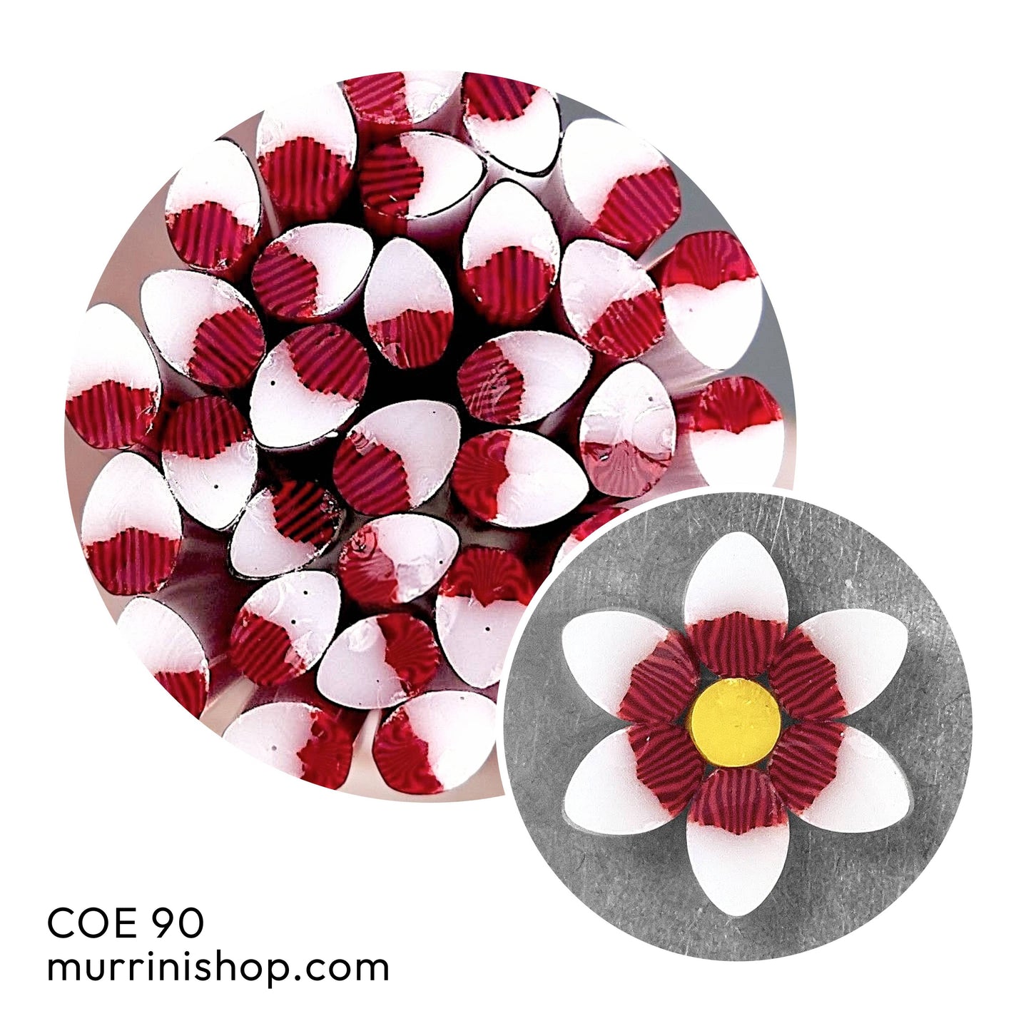 Red Burst Petals COE 90