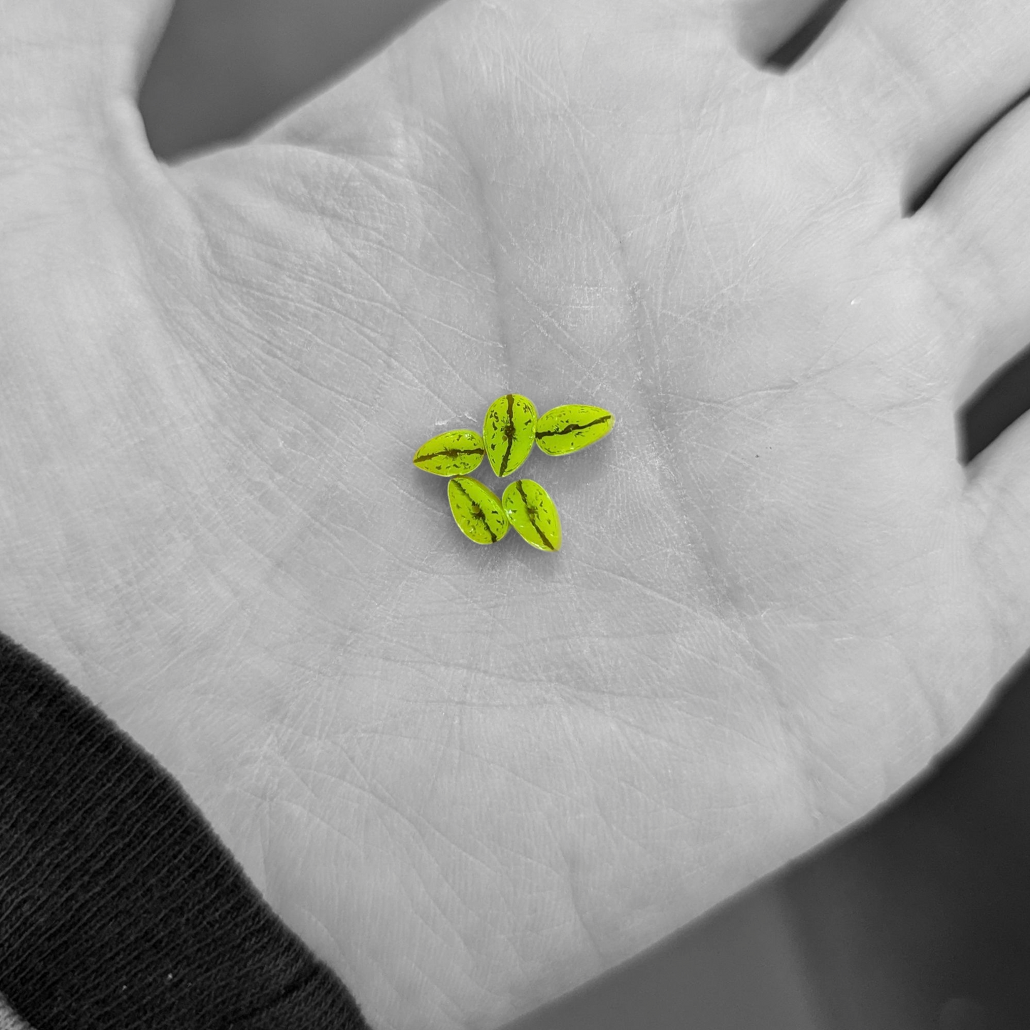 COE 90 Play Pack - Mini/Small Spring Leaves