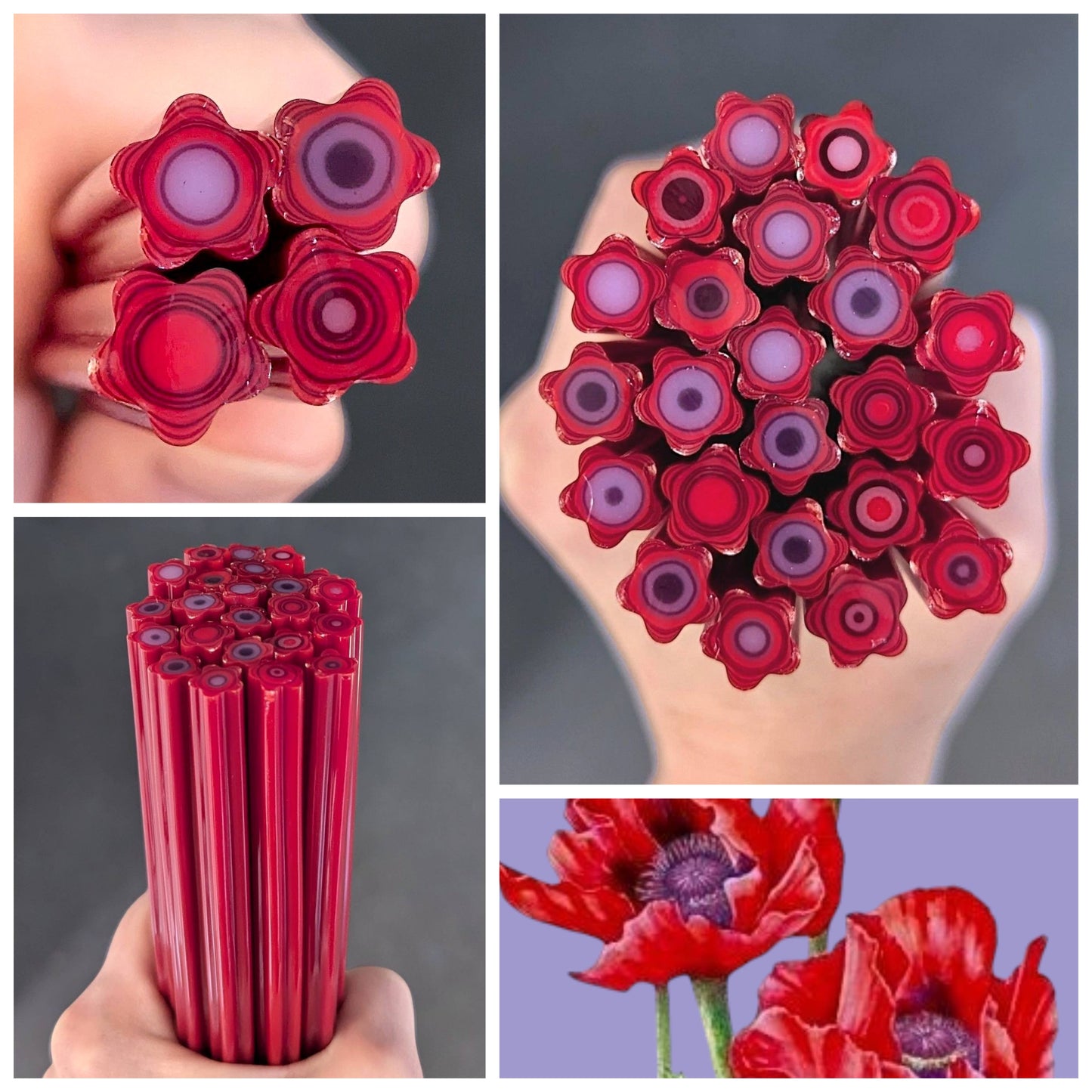 M/LG Red Purple Poppies COE 90