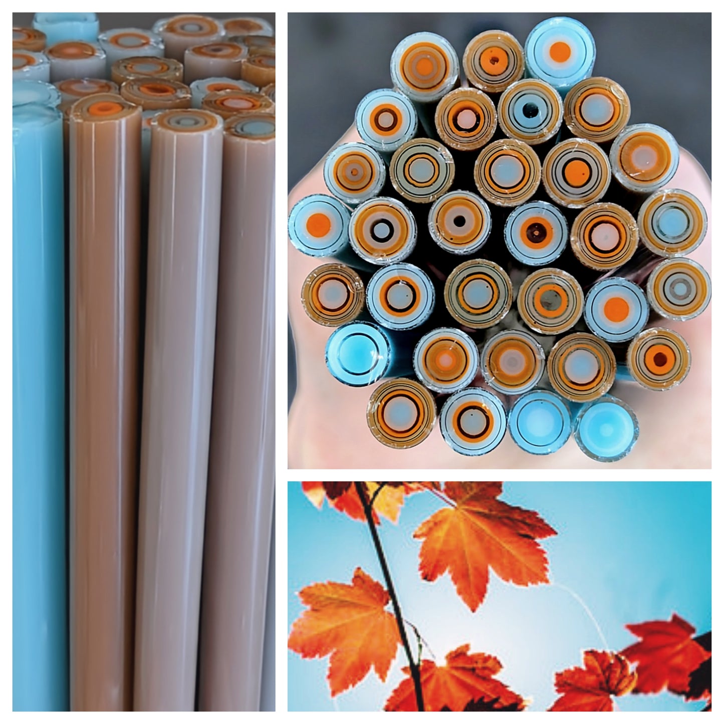Autumn Hues COE 90