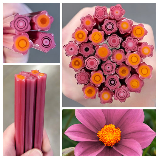 Med/Large Pink Orange Dahlia COE 90
