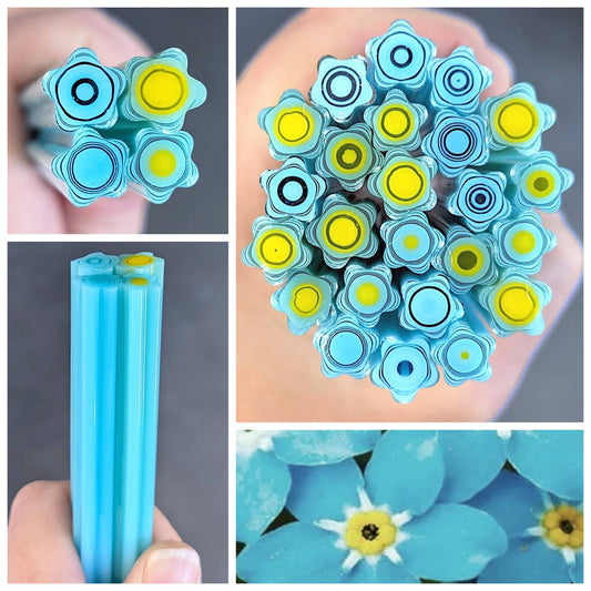 Med/Large Forget Me Nots COE 90