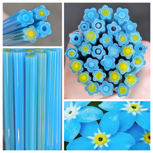 Med/Large Forget Me Not COE 96