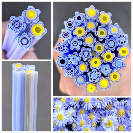 Med/Large Periwinkle Lavender Aster COE 90