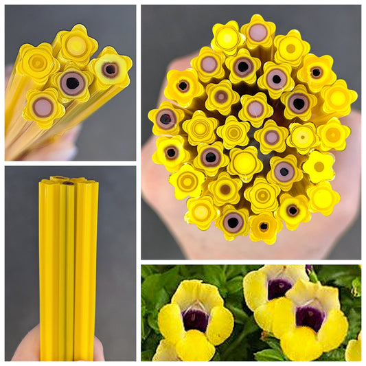 Med/Large Yellow Violet Torenia COE 90