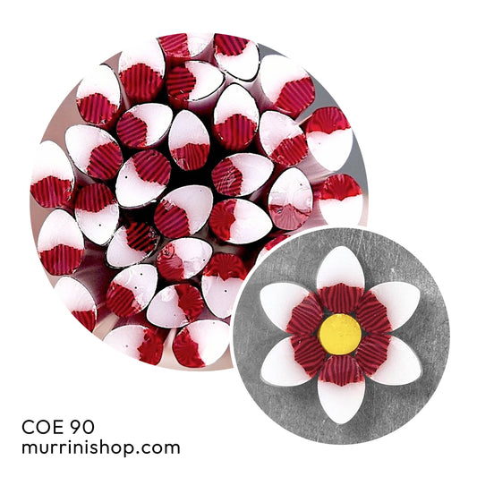 Red Burst Petals COE 90