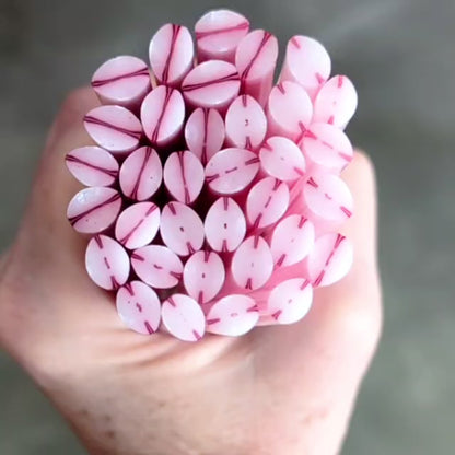 Pink White Petals COE 90