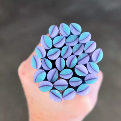 M/LG Lavender Turquoise Plumeria Petals COE 90