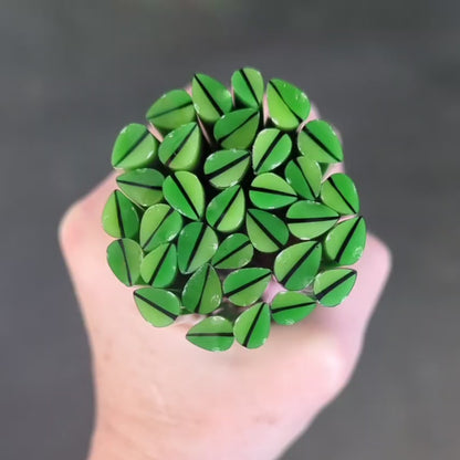 Summer Leaves COE 96