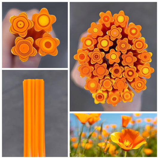 Med/Lrg Pretty Poppies COE 90