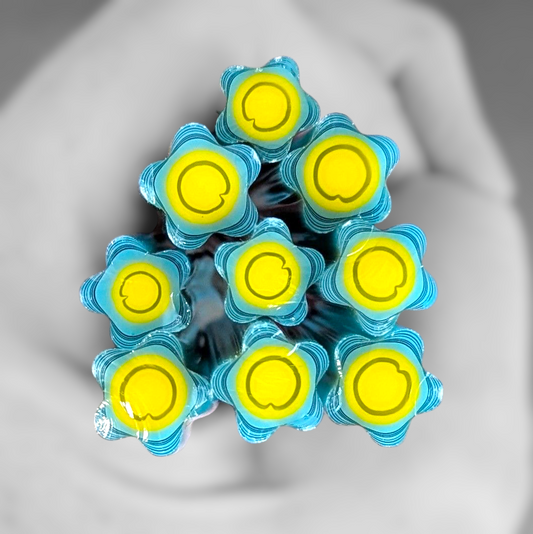 Large Variation Forget Me Not COE 96