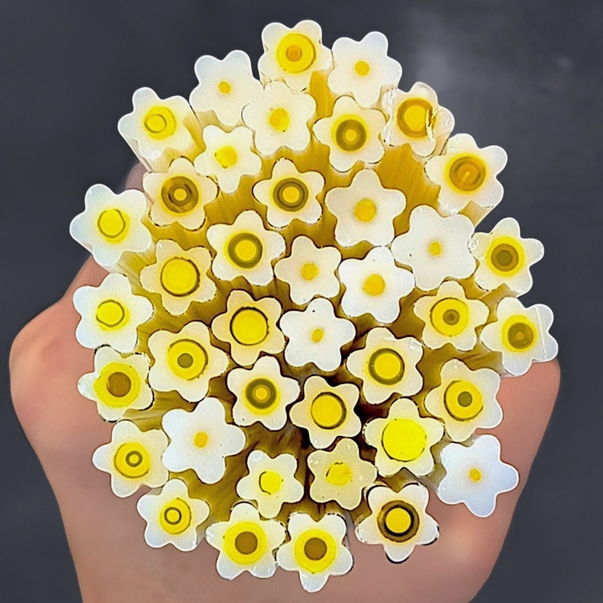 Dainty Daisies COE 90