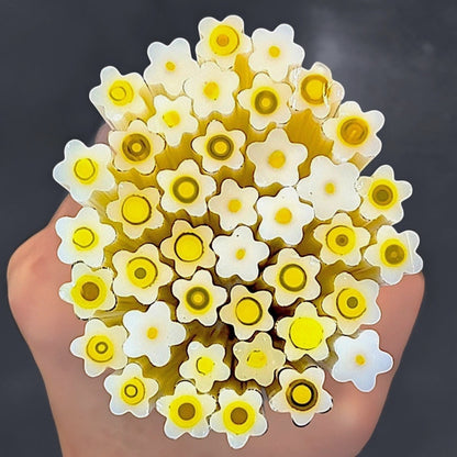 Dainty Daisies COE 90