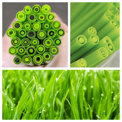 Spring Green COE 90