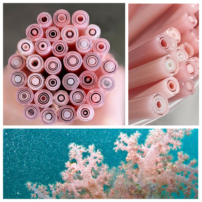Soft Coral COE 90