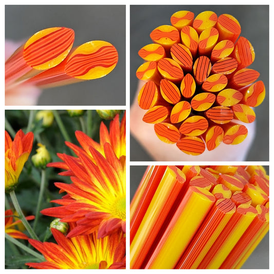 Large Phoenix in Bloom COE 96